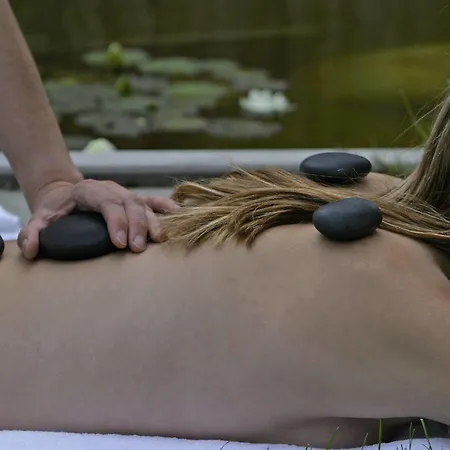 Alpino Family Wellness Hotel-3
